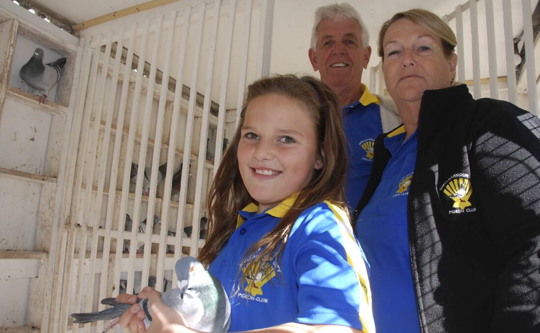 Shellharbour Pigeon Club's youngest member Eryn Foard handles one of the birds, while also pictured are Paul and Kathy Breeze. They are celebrating 60 years since the club formed. Picture: ELIZA WINKLER
