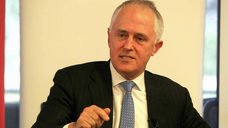 Communications Minister Malcolm Turnbull says film and music companies should foot the bill for a crackdown on online piracy. Photo: Alex Ellinghausen