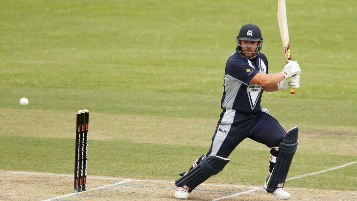 Aaron Finch will not play in the Shield side. Photo: Getty-Images