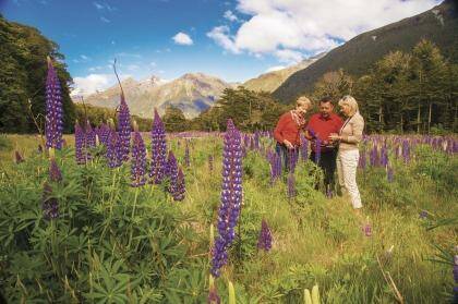 See the best of New Zealand.