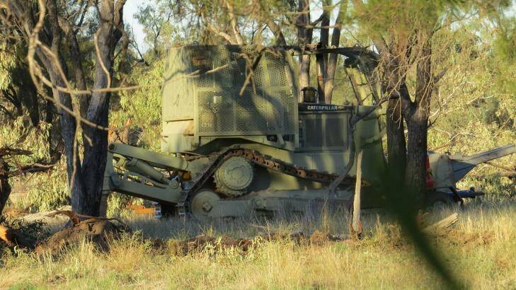 Illegal clearing in 2013 near Wallget with a camouflaged bulldozer. Photo: Phil Spark