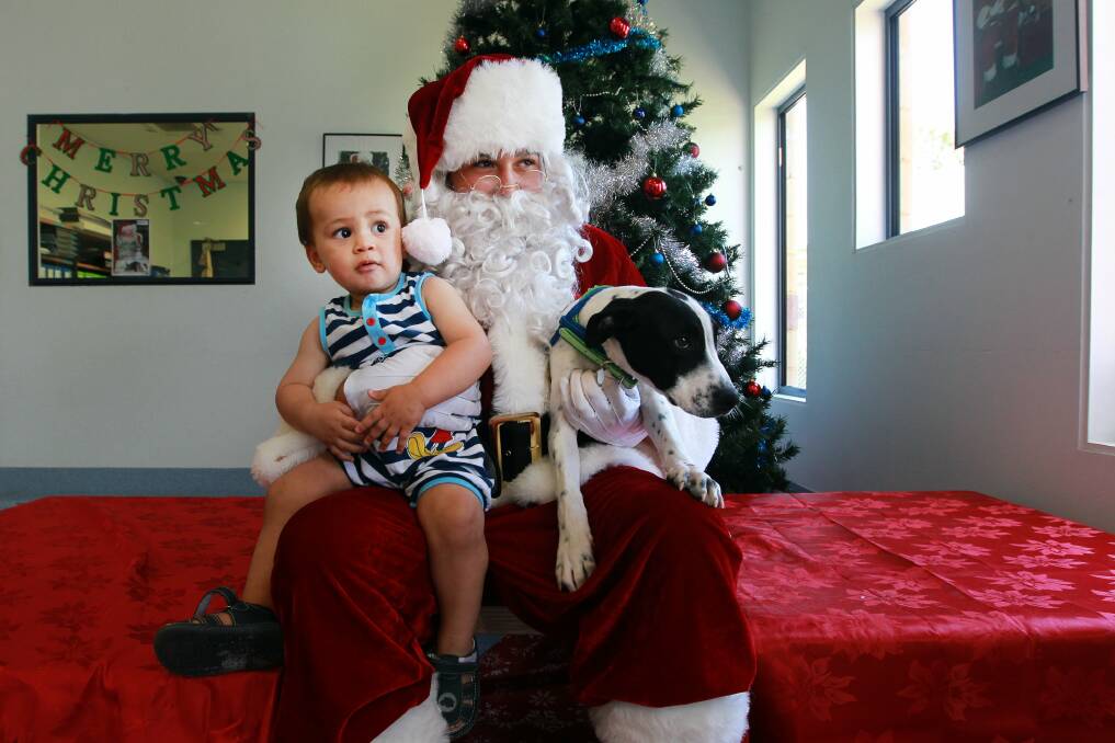 Santa with Isaiah Carrasco, 15 months, and his dog Beau. Picture: SYLVIA LIBER