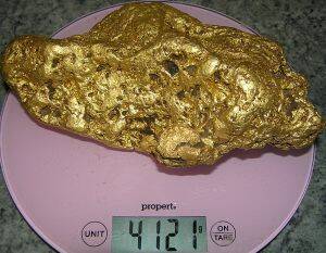 Victoria's newest Golden Triangle find weighs in at 4121g (145 ounces).  