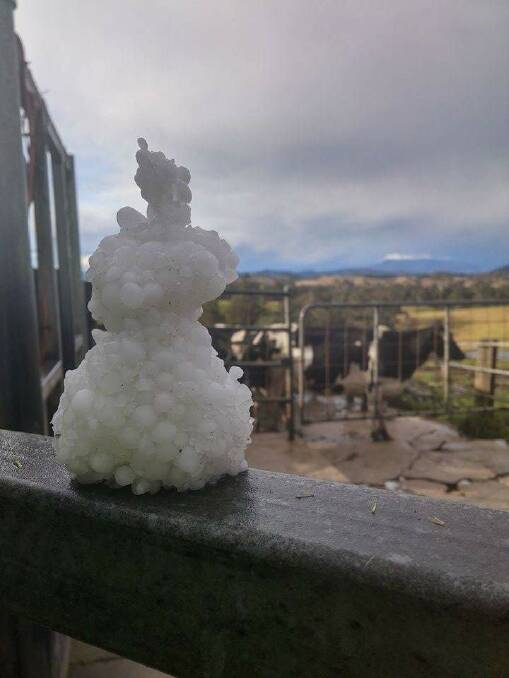 Nadine Hunter made a snowman! The first ever for Narooma? 