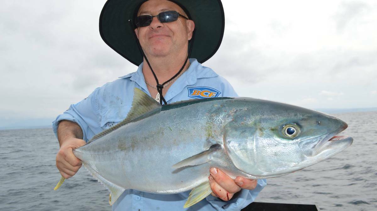 SHALLOW KING: Roy with a solid Montague Island kingfish caught with Wazza and Lighthouse Charters last week, it's the biggest fish he has ever caught and they got it in only 14m of water - well done Roy and Waz! (9/4/14)