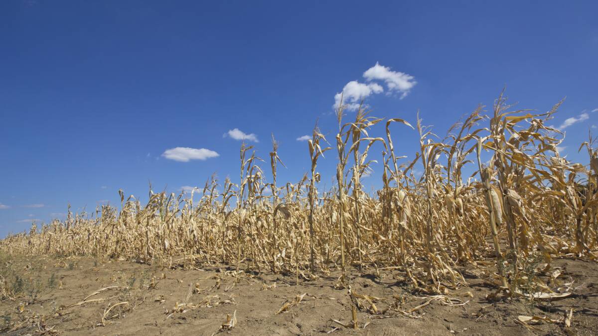 Financial worries are still a major issue for farmers in the Bourke area. File photo