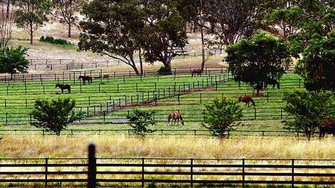 Sold: Packer's Hunter Valley property, Ellerston.
Picture: Wade Laube