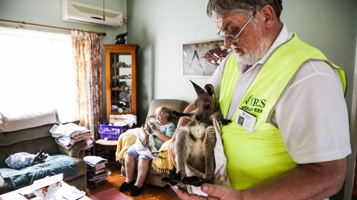 John and Sylvia Bryce are a part of Wires and are currently running their WIRES Food Appeal encouraging people to donate money to assist it's members in caring for animals. Picture: GEORGIA MATTS