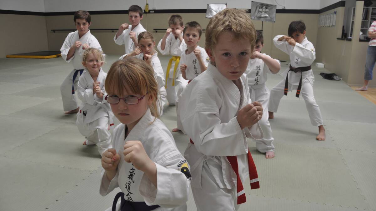 Purple belt Nikita Stone(7) and red level 1 Max Palk (7) perfect their martial arts moves with the group at Taekidokai. Picture Eliza Winkler
