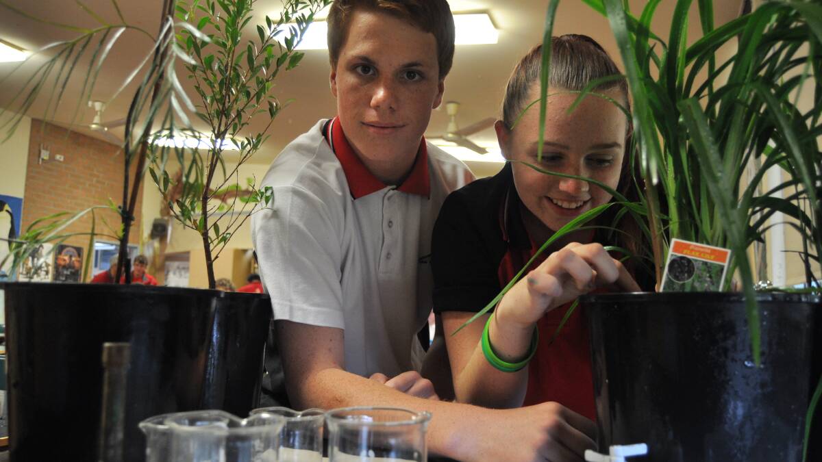 Albion Park High School Students Mason Ayling and Jenaya Nozza explore some of the country’s indigenous plants. Picture Eliza Winkler