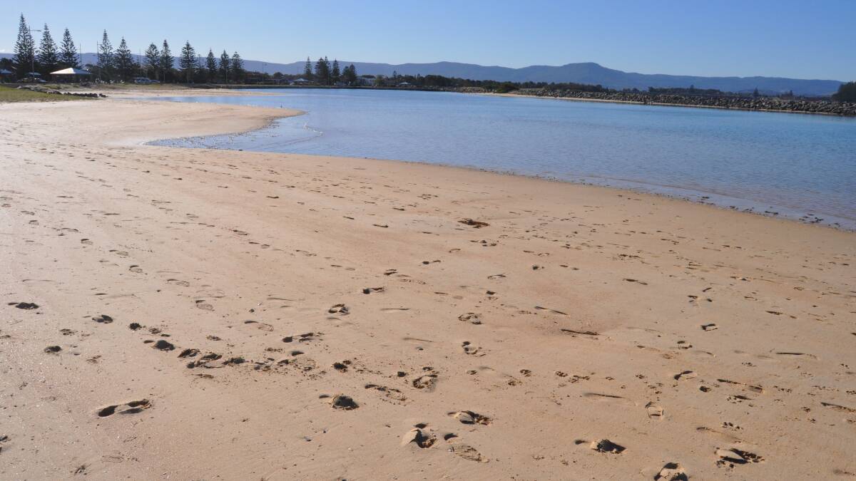 Shellharbour and Wollongong councils will look to setting up a lake Illawarra Estuary Management Committee to oversee the future management of the lake. Picture Eliza Winkler 
