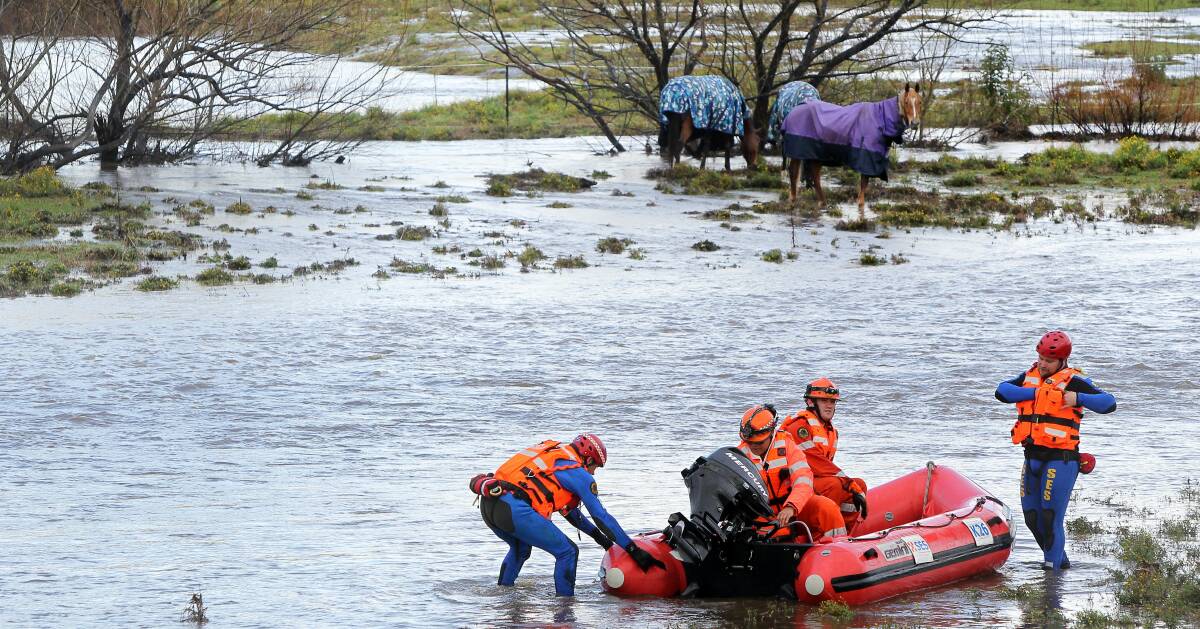 Members of the state emergency service help scare stranded horses to safety at paddocks on Marshall Mount Road, Penrose. Picture: SYLVIA LIBER