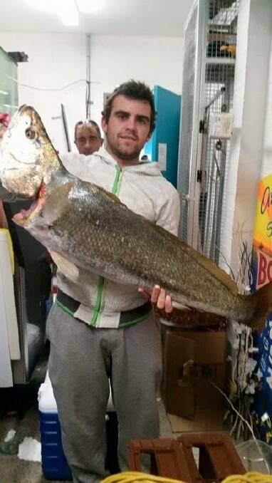 MONSTER MULLOWAY: Sam Hicks reeled in a jewfish weighing more than 16kg last week. 