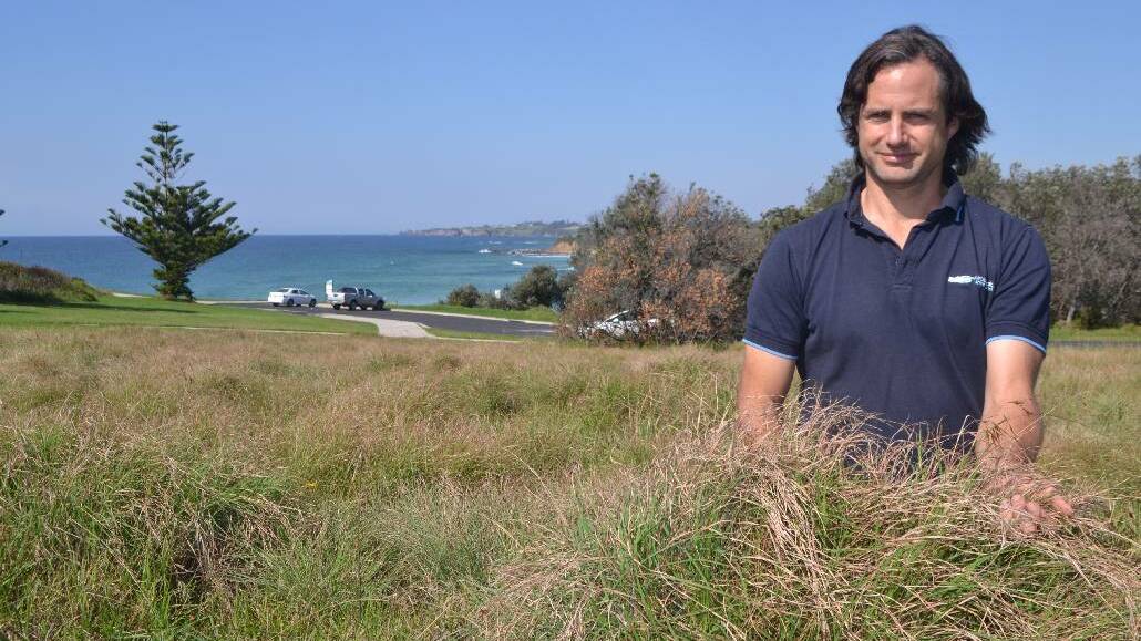 DALMENY: Council environment and sustainability officer Tom Dexter in the centre of the native kangaroo grass field on Duesbury Point, Dalmeny. Work to restore the native grasses is attracting the attention of other land managers such as National Parks that may want to try and restore the threatened Themeda grassland habitats on other headlands.
 
