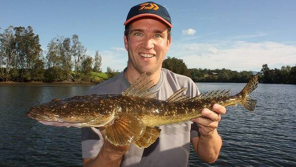 BEN CADDAYE'S GUIDE TO FISHING THE SOUTH COAST
A flathead. Photo: Supplied
