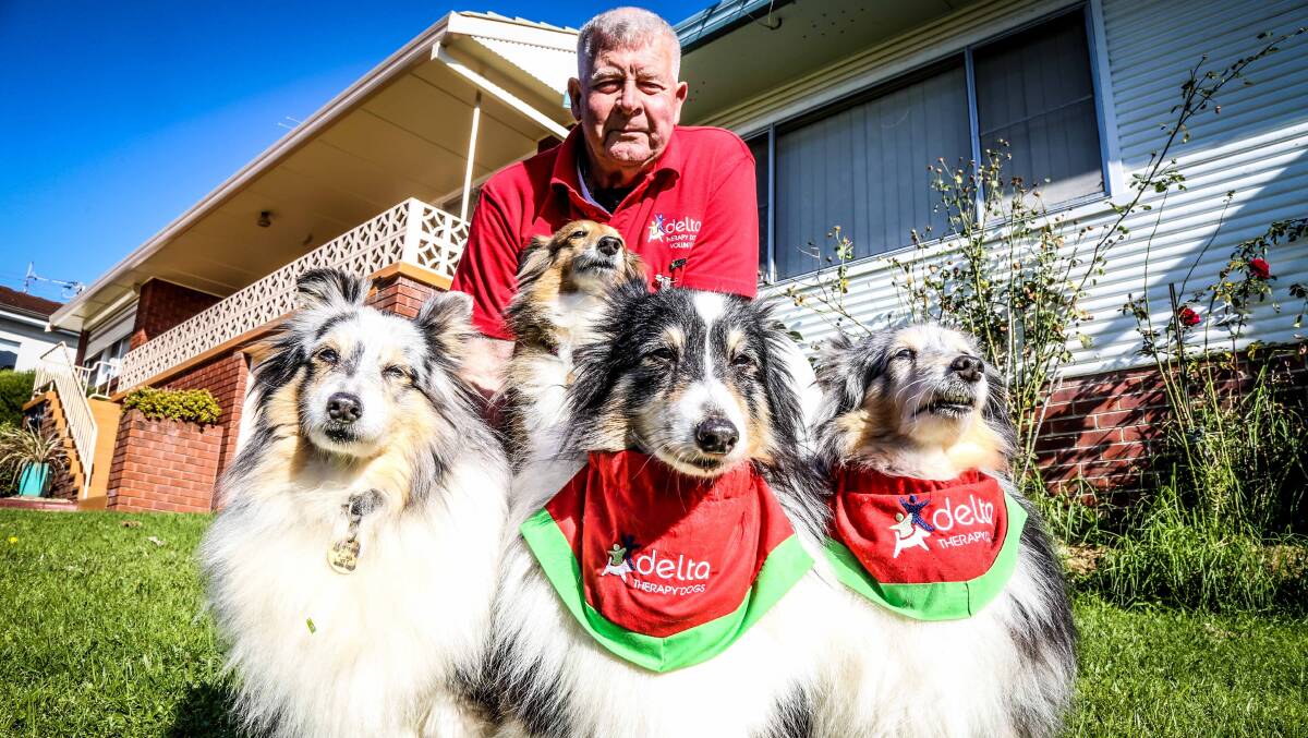 Tony Mitchell and his Shetland Sheepdogs, preparing for the national trials. Picture: GEORGIA MATTS