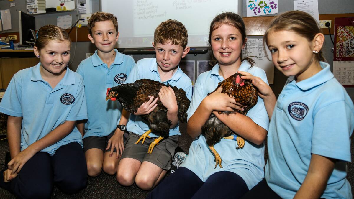 Jamberoo Public School students Charlotte Woolley (year 3), Lachlan Poole (year 3), Dylan Adams (year 4), Sophie Short (year 5), Ruby Xuereb (year 5) with Deborah Gough and their teacher Justine Doorn- McCormack at the chook workshop, as part of World Environment Day. Picture: GEORGIA MATTS