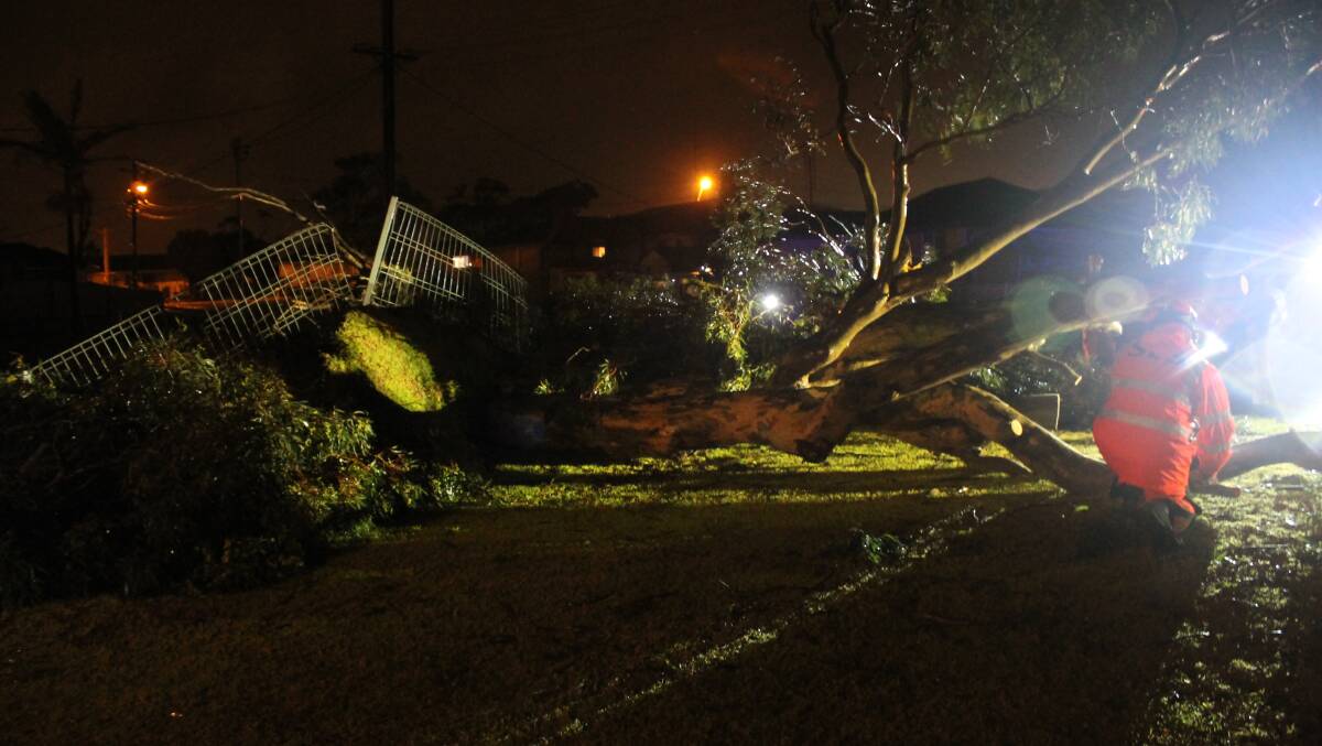 Shellharbour SES attend a fallen tree overnight. Picture: SHELLHARBOUR SES