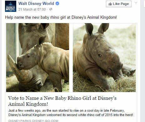 Let's get "Kiama" on the Disney map: vote to name baby rhino