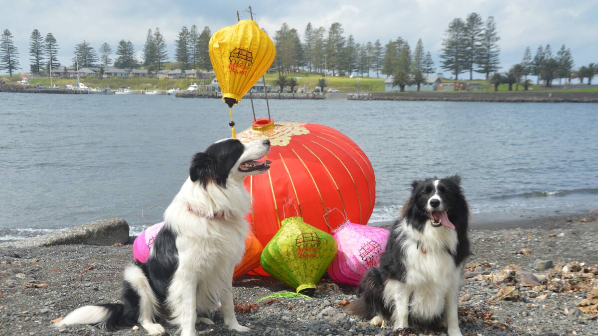 Bring your puppies and you kids along to the fun and colourful Kiama Farmers' Markets on Wednesday