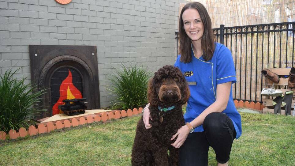 Busselton vetinerian Dr Aimee Burrows needs your help to become Australia's next TV vet. 