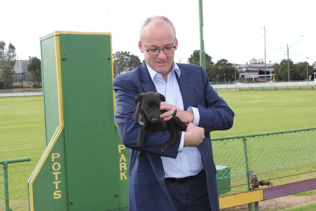Opposition Leader Luke Foley with six-week-old puppy, Sputnik at the Arena Sports Club in Yagoona earlier this month.  Picture: Peter Davis