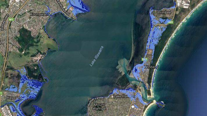 FLOODED: Inundation linked with sea level rise to the year 2100 covers residential parts of Primbee, Windang and Lake Illawarra. A "high scenario" has a median sea level rise of 0.74m. Source: coastalrisk.com.au; map is an estimate. 