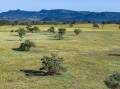 A holistically managed tablelands country that has been cell grazed for the past 20 years is on the market for $2200/acre. Picture supplied