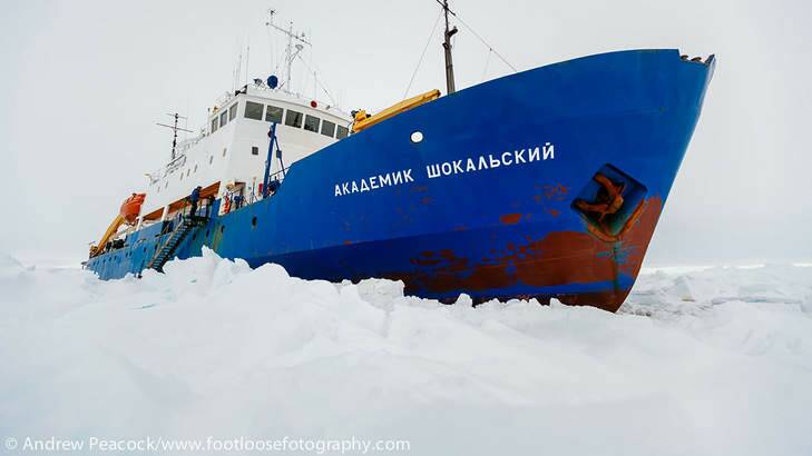 MV Akademik Shokalskiy trapped in ice off Antarctica. Photo: Andrew Peacock
