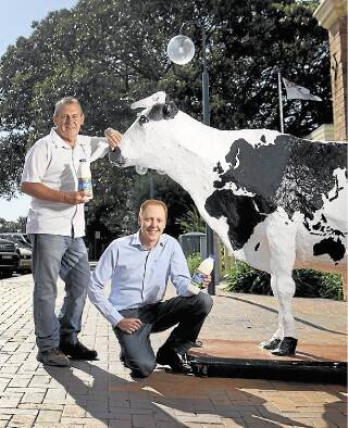 Kiama councillors Dennis Seage and Andrew Sloan want to see more support for the municipality's dairy farmers. Picture: DYLAN ROBINSON