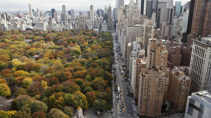 Love this city: Skyscrapers overlook Central Park on an autumn day. Photo: NYC and Company