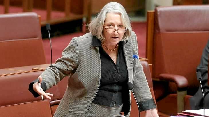 Liberal Senator Sue Boyce. Photo: Andrew Meares