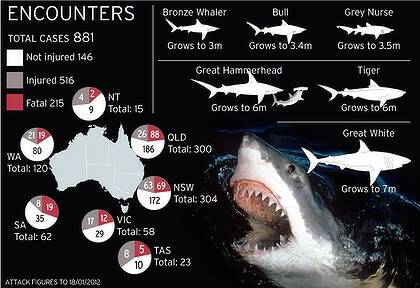 Shark attacks around Australia.