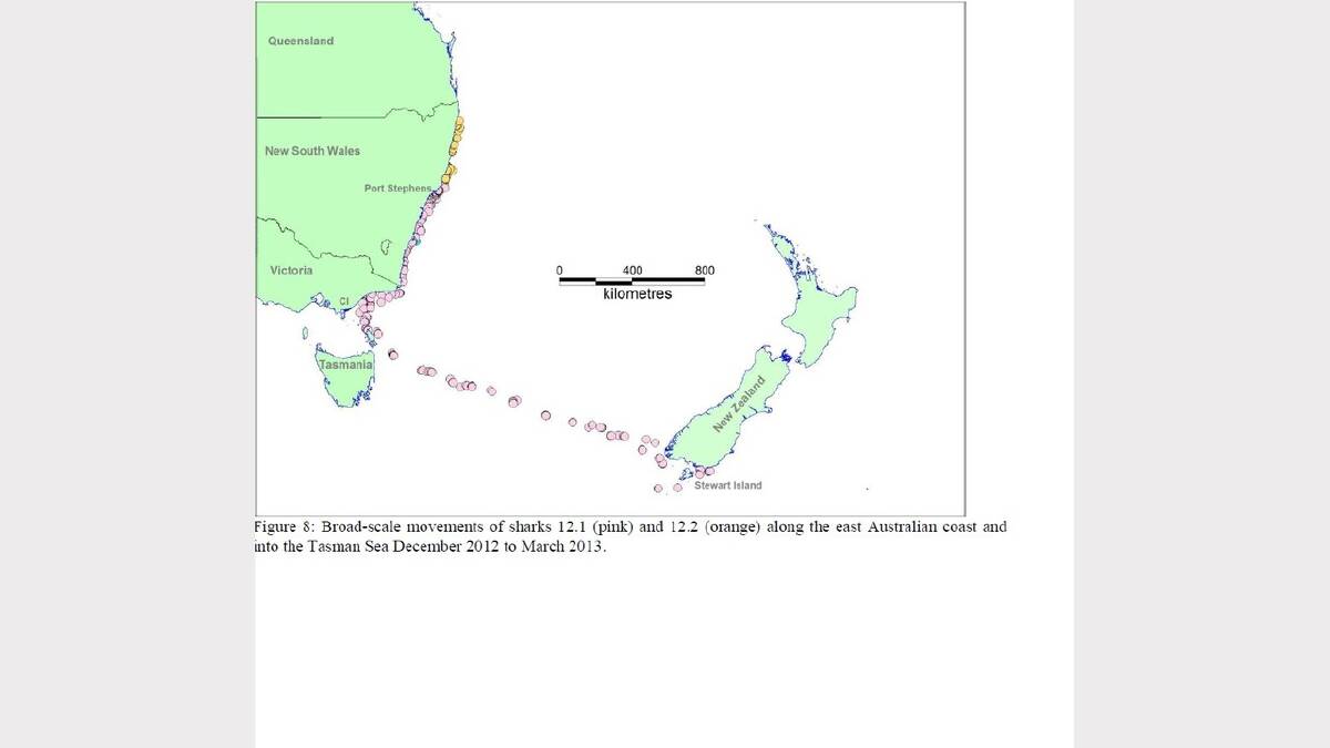  WELL TRAVELLED: The movements of Gracie the great white shark between December 2012 and March 2013. Source: CSIRO
