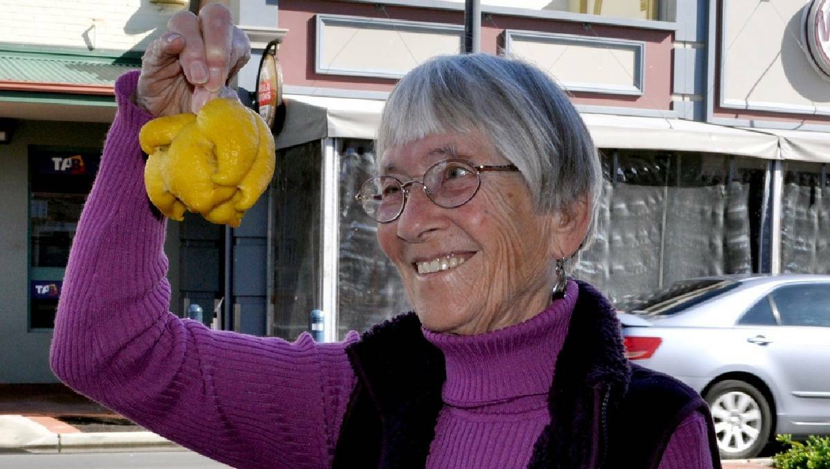 Busselton's Lis Holsig found an unusual shaped citrus hiding in the branches of her lemon tree. The mutant lemon was named ‘the lemon with a twist’. 