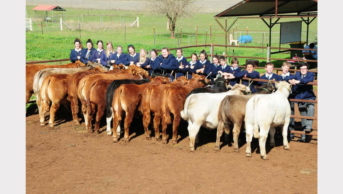 St John College at Dubbo is heading to Brisbane for the Ekka - the "Mecca of steers" at the Royal Queensland Show.