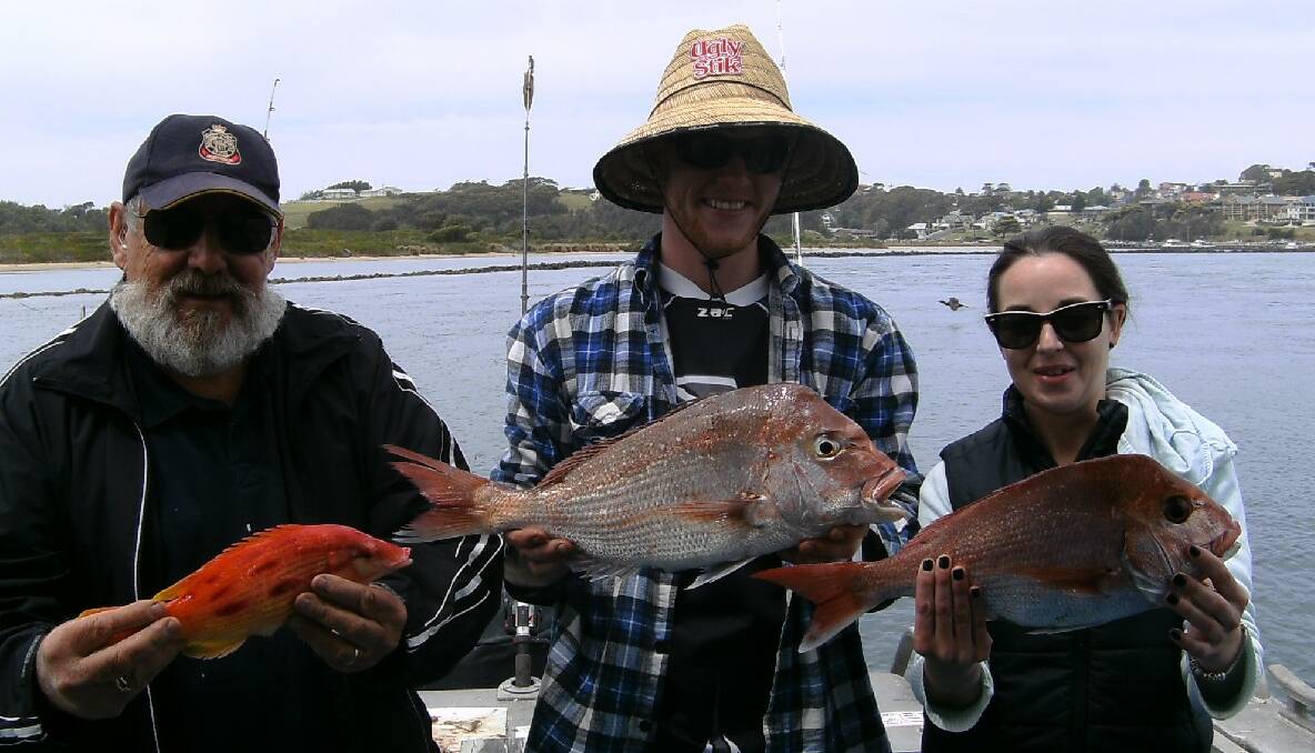 MIXED BAG: Col Armstrong of Narooma with a pigfish and Roland Archer and Aleasha May of Wollongong with snapper caught on Narooma Fishing Charters. (6/11/2013) 