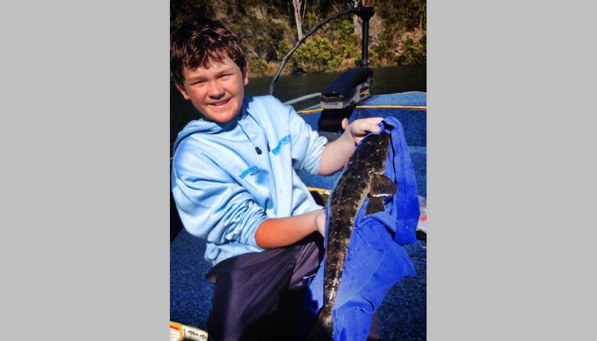 HARLEY FLATTY: Bermagui junior angler Harley got into the dusky flathead on Monday, as well as a few good size tailor all on plastics. With the water temp up a degree or two, the Bermi River is starting to fish well! (9/10/2013) 