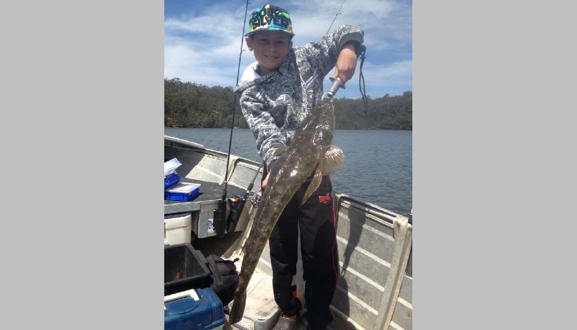 PB FLATHEAD: Young Digger Cowie of Narooma managed to outfish his dad “Hoots” again this time with a PB 76cm flathead caught in the Narooma area over the weekend on a small silver vibe lure on 6lb leader and was released unharmed. Well done Digger!! (28/10/2013) 