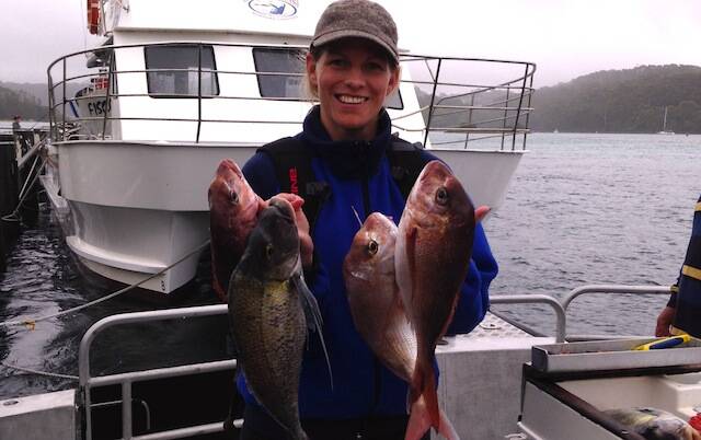 LYNNE SNAPPER: Lynne from Canberra and some nice snapper and a morwong caught on the Sheriff at Tuross on Saturday. 5/1/2014
