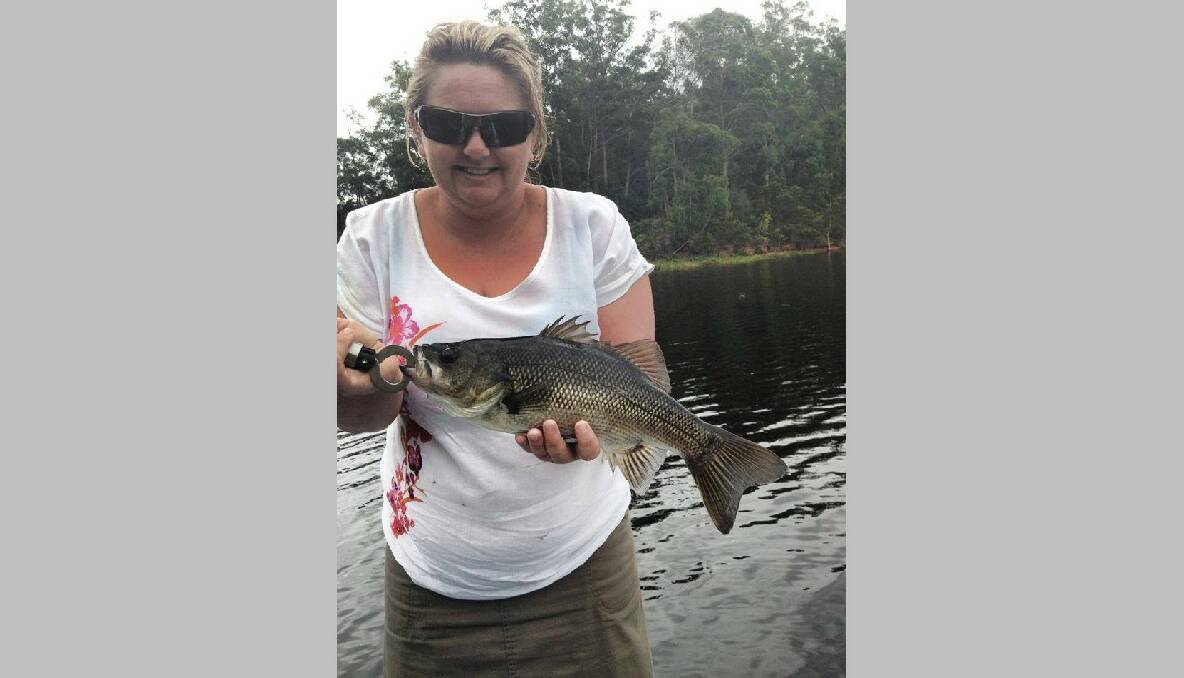 MUM’S BIG BASS: Josh Mccue and his family went bass fishing at Brogo and his wife Tania got biggest Brogo bass he's seen or heard of, measuring in at 42.5cm and caught on a Purple TT Lures Vortex spinnerbait.  22/1/14