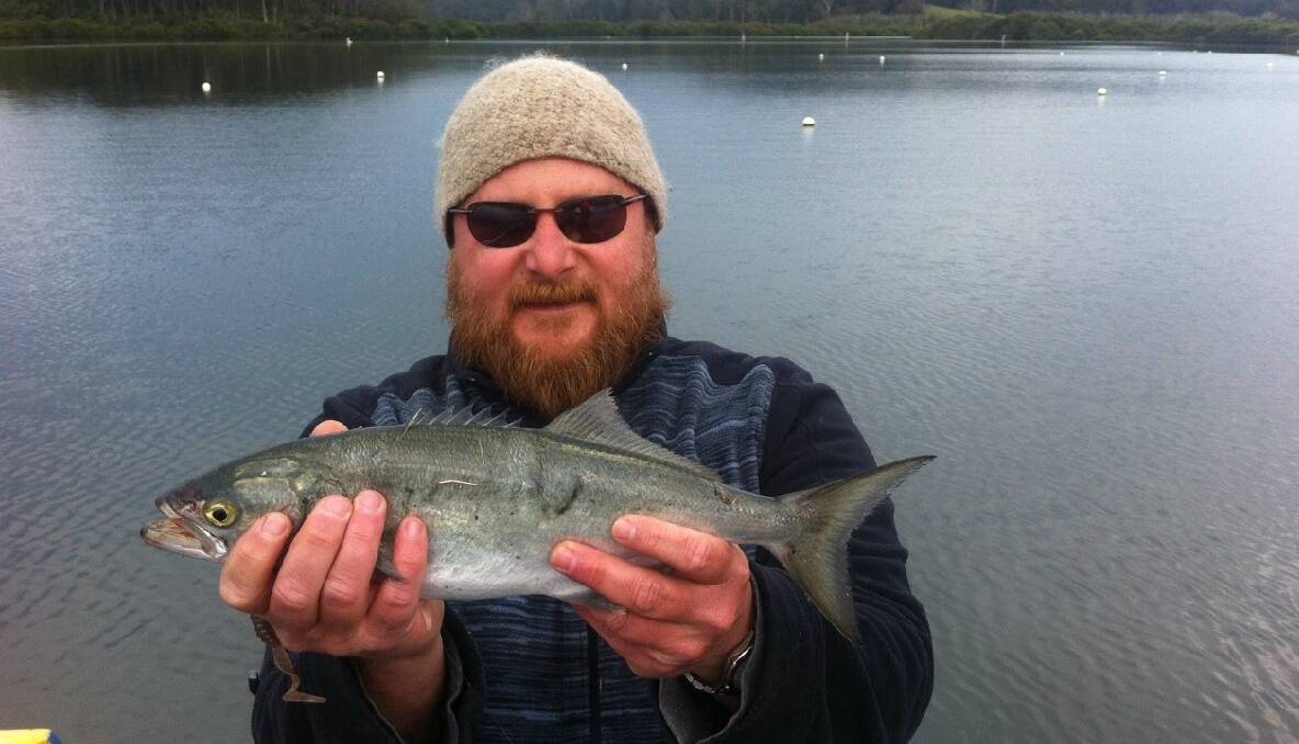 EDITOR CATCH: Editor Stan Gorton went for an early-morning pre-work fish with Josh McCue from Bermagui Bait and Tackle getting several nice tailor on a 2.5-inch Z-man Grub. (3/10/2013) 