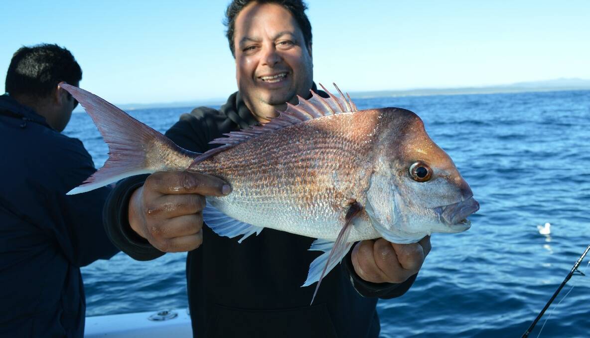 SNAPPER TIME: Michael from Sydney fished with Lighthouse Charters and got this nice snapper. (27/11/2013) 