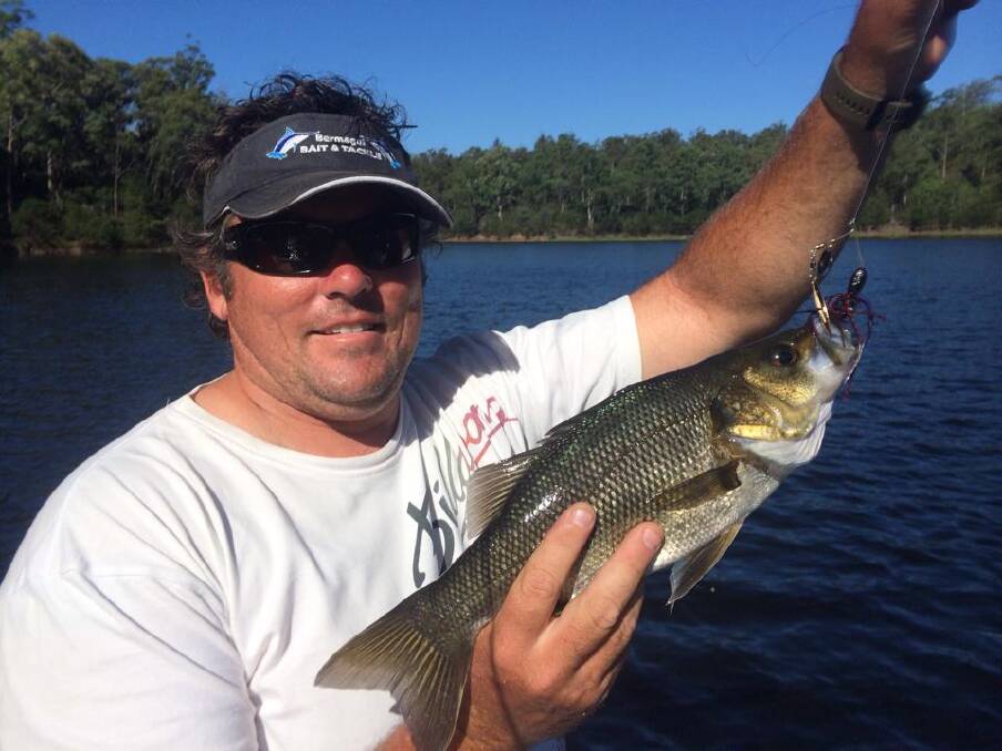JOSH BASS: Josh Mccue from Bermagui with another nice bass from a session on Brogo Dam on Thursday afternoon fishing TT Spinnerbaits at the bank. 24/1/14