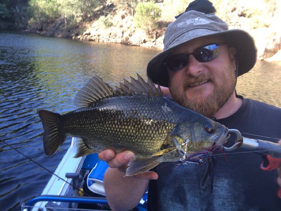 EDITOR CATCH: Narooma News editor Stan Gorton with his best bass from a session on Brogo Dam on Thursday afternoon fishing TT Spinnerbaits at the bank. 24/1/14