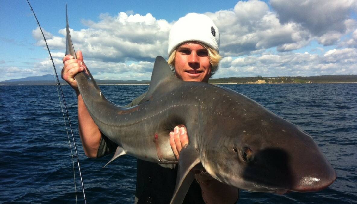 HUGE GUMMY: Deckhand Nick Cowley with a great gummy caught on Benny Bolton’s Charter Fish Narooma north of Narooma yesterday.  (9/10/2013) 