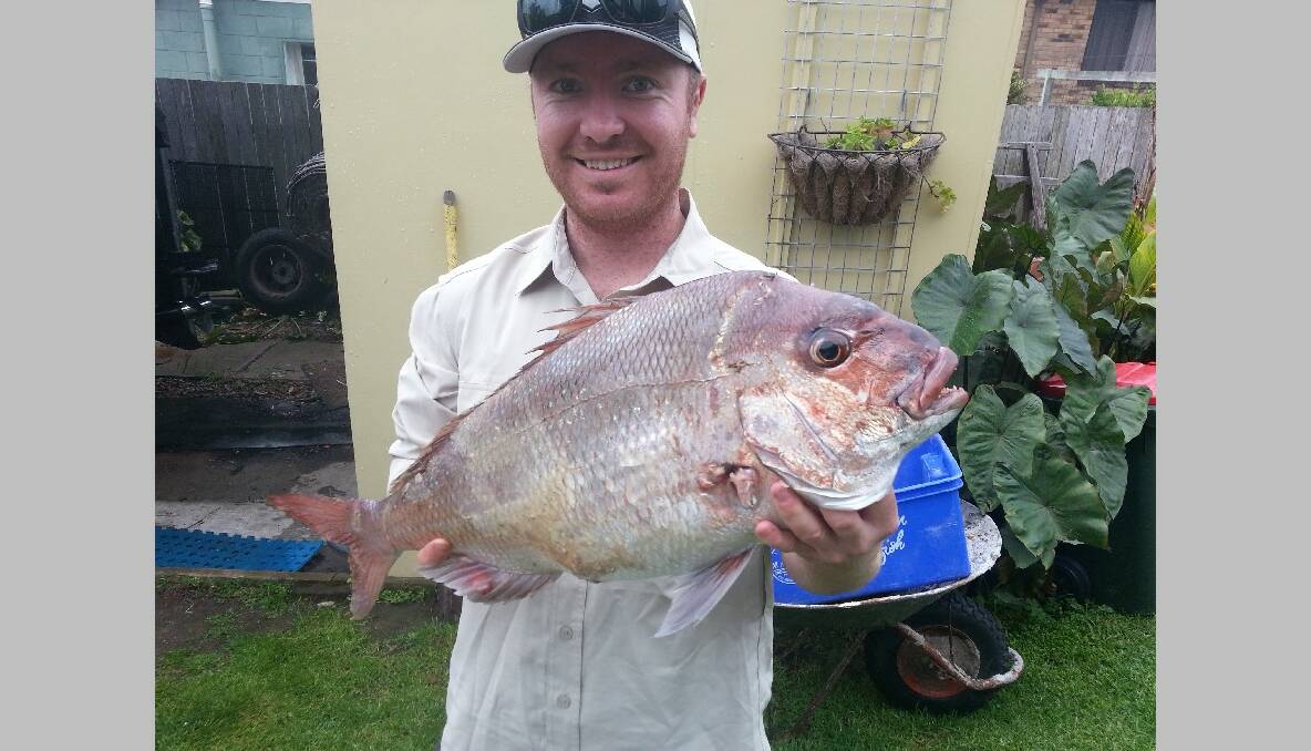 ISLAND SNAPPER: Dan Corrie from Canberra with a 4kg snapper caught at Montague Island last Saturday with Narooma Fishing Charters. 18/12/2013  