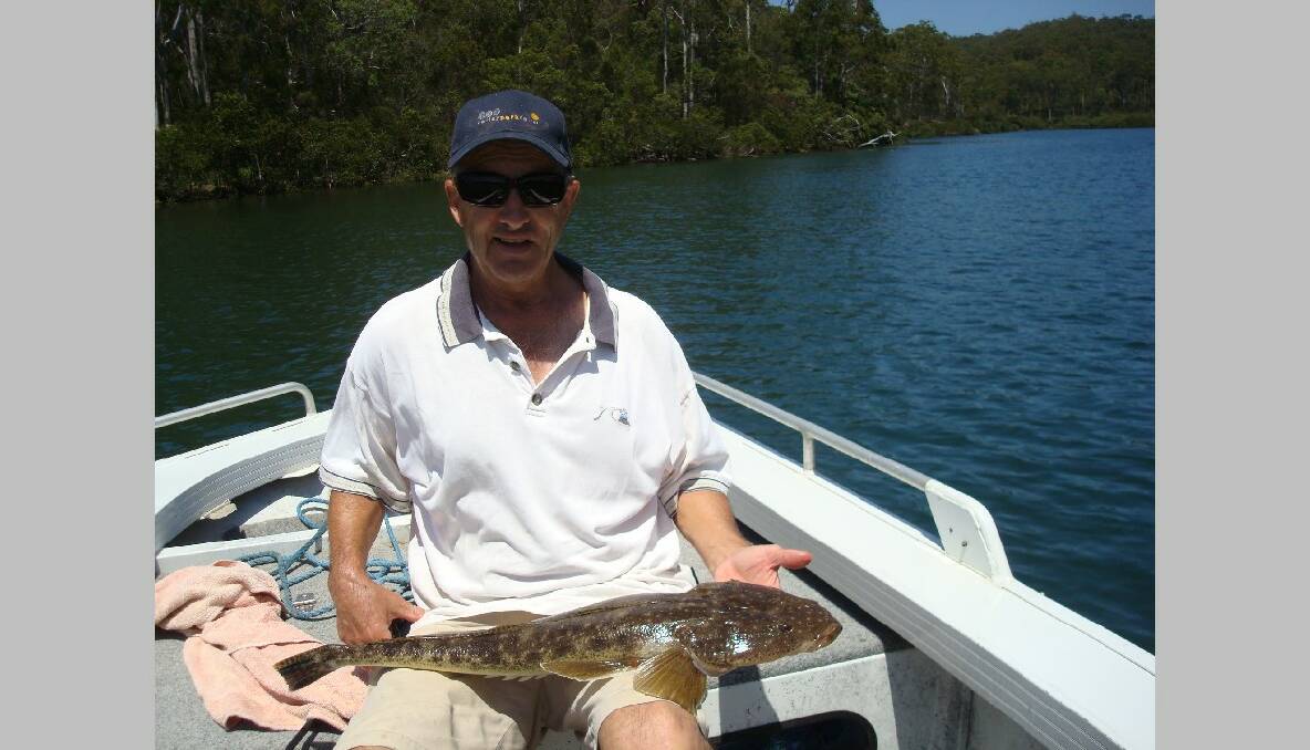 BERMI FLATHEAD: John Moore of Shepparton, Vic caught this big flathead on the Bermagui River on live bait. Catch and release as all should do with fish of this size, he says. We have been coming to Bermi for many years and love the South Coast. (5/2/14) 