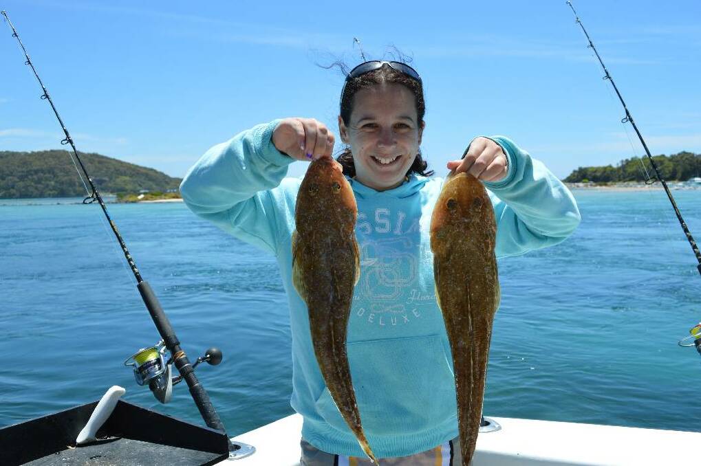 CRACKER FLATHEAD: Rebecca Cooper went out with Wazza and Simon of Lighthouse Charters getting some some cracker flathead. 11/12/2103 