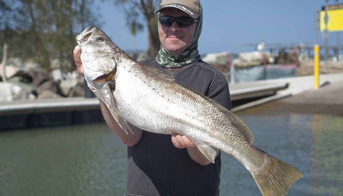 CLYDE JEWIE: Scott Thornton of the Bay has been targeting jewfish in the Clyde River over recent weeks perfecting the moon phase timing etc. He got this great 92cm fish on Tuesday on a Gulp plastic. Photo by Claudine Thornton (27/11/2013) 